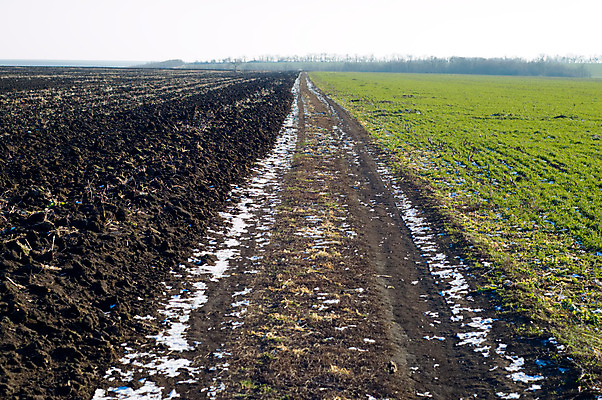 포토 JPG 해외이미지 식물 계절 도로 줄기 백그라운드 겨울 밭 농업 자연 하늘 날씨 안테나 씨앗 풍경 잔디 사람없음 야외 초록색 여름 농작물 햇빛 농장 환경 침묵 봄 가을 시골 보호 땅 시리얼 밀 보리 장면 방법 평야 수평선 해외202004 해외포토 산업 길 음식 컬러 컨셉 통신 교통시설 곡류 태양 소리 생태계 파일형식 이미지허브