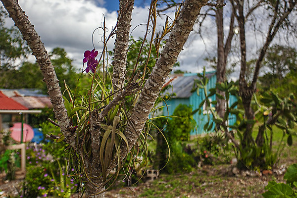 포토 JPG 해외이미지 나무 공원 여행 백그라운드 자연 하늘 선인장 국립공원 사람없음 초록색 물 어둠 구멍 동굴 숲 생태계 서식지 내추럴 공화국 도미니카공화국 전국 지질학 터키석 해외202004 해외포토 자연요소 식물 공공시설 교육 나라 컬러 남아메리카 보석 파일형식 이미지허브