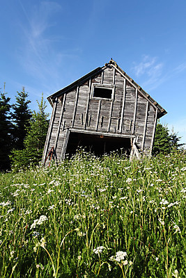 포토 JPG 해외이미지 나무 계절 밭 자연 하늘 사람없음 야외 건물 목재 세로 초록색 파란색 농장 기댐 수확 시골 버리기 외양간 옛날 해외202004 해외포토 식물 건축물 컬러 농업 재료 모션 생태계 파일형식 이미지허브