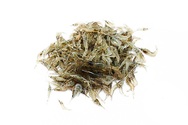 포토 JPG 해외이미지 동물 음식 바다 백그라운드 재료 낚시 조개 새우 건강 갑각류 어류 요리 동양인 사람없음 물 반려동물 강 저녁식사 게 껍질 흰색 신선 시장 크리스탈 해산물 날것 수족관 고립 민물 이국적 집게발 해외202004 해외포토 자연요소 컬러 레저 어패류 인종 식사 수중동물 광석 파일형식 이미지허브