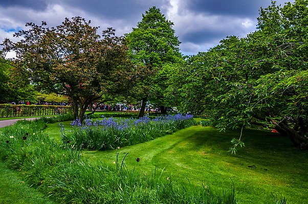 포토 JPG 해외이미지 나무 식물 1 계절 공원 꽃잎 꽃 백그라운드 잎 꽃무늬 밭 자연 하늘 휴가 새로움 그림자 풍경 잔디 사람없음 야외 목재 초록색 여름 파란색 노란색 정원 봄 가을 나뭇가지 신선 숲 큼 네덜란드 장면 암스테르담 옛날 해외202004 해외포토 공공시설 유럽 컬러 컨셉 무늬 농업 재료 크기 생태계 파일형식 이미지허브