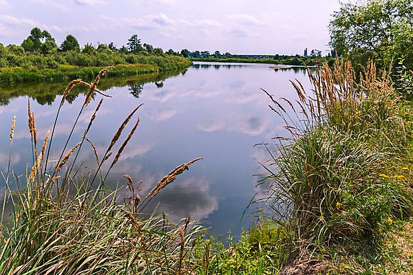 포토 JPG 해외이미지 나무 구름 계절 여행 백그라운드 잎 자연 하늘 풍경 사람없음 야외 목재 초록색 물 여름 파란색 강 컬러풀 햇빛 반사 환경 맑음 봄 활발 거울 흰색 시골 숲 내추럴 생태학 수평선 해외202004 해외포토 자연요소 식물 교육 컬러 컨셉 재료 날씨 태양 생태계 파일형식 이미지허브