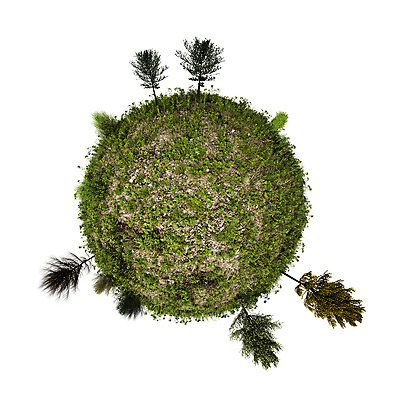 포토 JPG 해외이미지 나무 식물 지구 백그라운드 컨셉 지도 일러스트 자연 잔디 사람없음 초록색 세계 글로벌 지구본 3D 환경 행성 흰색 땅 에코 고립 생태학 여의주 해외202004 해외포토 교육 컬러 우주 디지털합성 생태계 파일형식 이미지허브