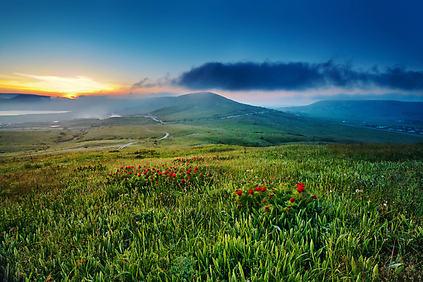 포토 JPG 해외이미지 식물 구름 계절 꽃 도로 호수 백그라운드 잎 밭 자연 하늘 산 풍경 사람없음 야외 빨간색 초록색 여름 파란색 빛 컬러풀 햇빛 태양 일몰 봄 새벽 성장 벚꽃 시골 개화 저녁 5월 언덕 작약 해외202004 해외포토 자연요소 길 컬러 농업 교통시설 노을 날짜 야간 생태계 파일형식 이미지허브