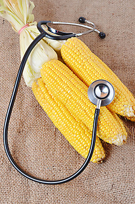 포토 JPG 해외이미지 식물 음식 백그라운드 잎 농업 다이어트 채소 과일 재료 자연 건강 옥수수 사람없음 여름 농작물 농장 노란색 식사 수확 껍질 흰색 신선 황금 달콤 낟알 먹기 유기농 알맹이 날것 팝콘 내추럴 숙성 채식주의자 해외202004 해외포토 웰빙 계절 산업 컬러 모션 곡류 맛 생태계 채식 파일형식 이미지허브