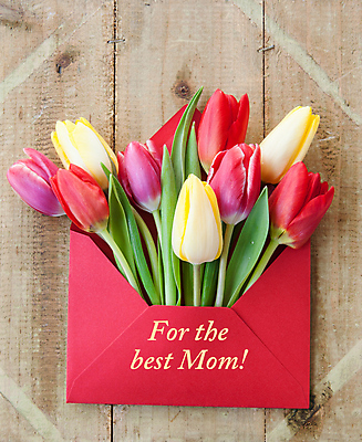 포토 JPG 해외이미지 꽃 분홍색 꽃다발 백그라운드 꽃무늬 봄꽃 봉투 부활절 발렌타인데이 사랑 사람없음 목재 장식 빨간색 컬러풀 노란색 봄 튤립 수확 시골 신선 생일 편지 카피스페이스 해외202004 해외포토 나무 식물 계절 기념일 감정 컬러 무늬 농업 재료 데이이벤트 공백 파일형식 이미지허브