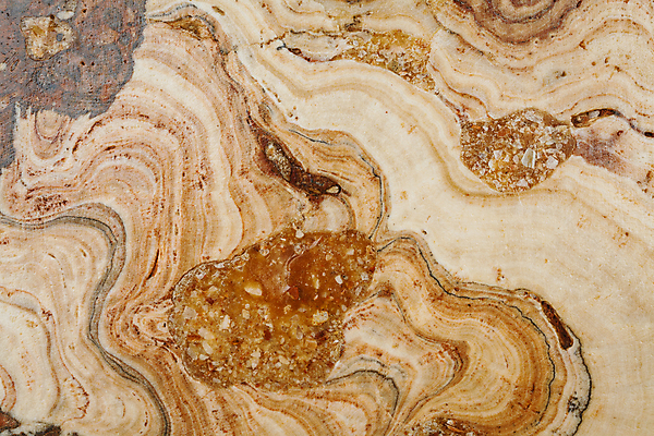 포토 JPG 해외이미지 디자인 벽 백그라운드 패턴 건축양식 자연 벽지 표면 추상 바닥 실내 사람없음 내부 장식 회색 욕실 흰색 황금 우아함 묘사 질감 캔버스 대리석 광택 판 내추럴 옛날 지질학 화강암 해외202004 해외포토 교육 건축 컬러 컨셉 무늬 재료 암석 생태계 파일형식 이미지허브