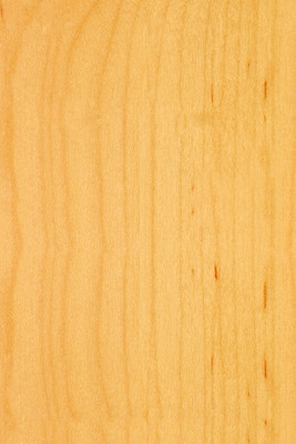 포토 JPG 해외이미지 모양 나무 산업 선 조각 백그라운드 십자가 패턴 부분 자연 표면 날씨 추상 사람없음 목재 갈색 줄무늬 반지 원형 역사 널 숲 장작 자르기 유기농 질감 통나무 나무껍질 잡동사니 내추럴 방법 수목 옛날 노화 해외202004 해외포토 도형 식물 웰빙 컬러 컨셉 무늬 재료 장신구 모션 껍질 생태계 파일형식 이미지허브