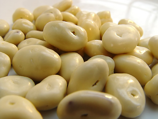 포토 JPG 해외이미지 음식 건강 사람없음 맛 먹기 건포도 요구르트 해외202004 해외포토 컨셉 모션 포도 유제품 건과일 파일형식 이미지허브