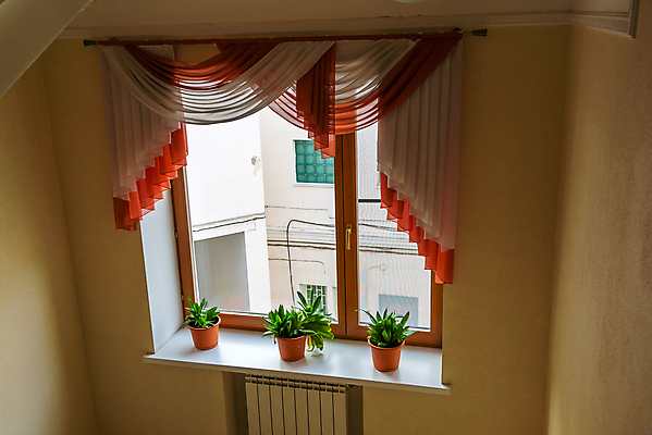 포토 JPG 해외이미지 식물 꽃 화초 벽 창문 실내 사람없음 내부 초록색 갈색 방 램프 커튼 도자기 복도 냄비 플라스틱 수집 묘사 천장 라디에이터 안락 해외202004 해외포토 컬러 컨셉 재질 조명 솥 파일형식 이미지허브