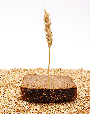 포토 JPG 해외이미지 식물 음식 빵 줄기 백그라운드 건강 옥수수 사람없음 갈색 주방 식사 껍질 흰색 원형 낟알 시리얼 밀 다발 준비 슬라이스 귀 밀가루 덩어리 고립 호밀 귀리 해외202004 해외포토 도형 컬러 곡류 신체부위 가루 파일형식 이미지허브