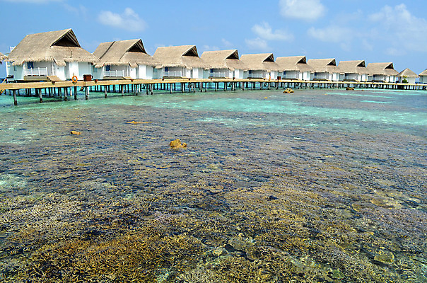 포토 JPG 해외이미지 모래 바다 섬 여행 자연 하늘 휴가 휴식 풍경 사람없음 야외 물 여름 파란색 태양 수영 스노클링 고급 산호 휴양지 암초 몰디브 이국적 터키석 파라다이스 해외202004 해외포토 자연요소 계절 아시아 컬러 컨셉 장소 수상스포츠 자포동물 보석 생태계 파일형식 이미지허브