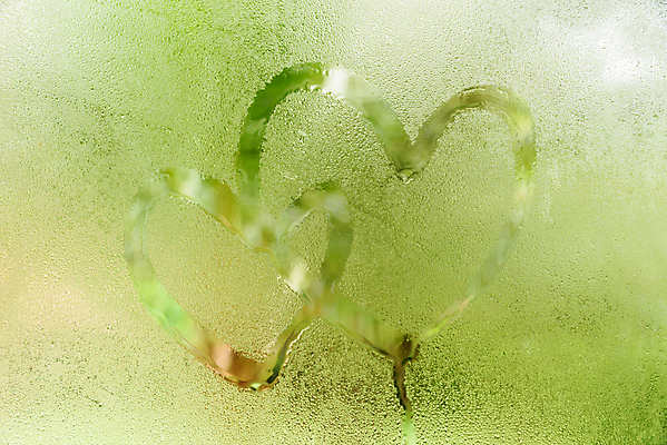 포토 JPG 해외이미지 백그라운드 패턴 창문 자연 유리 표면 추상 사람없음 초록색 물 파란색 거품 습기 젖음 물방울 신선 떨어짐 수증기 이슬 수분 빗방울 질감 내추럴 해외202004 해외포토 자연요소 컬러 컨셉 무늬 재질 비_날씨 생태계 파일형식 이미지허브