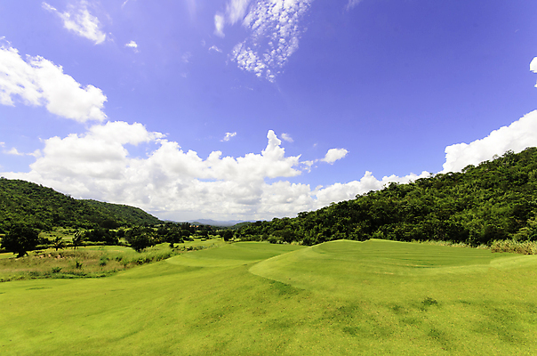 포토 JPG 해외이미지 나무 식물 구름 백그라운드 잎 밭 농업 자연 하늘 날씨 손바닥 풍경 잔디 사람없음 야외 목재 초록색 여름 파란색 컬러풀 햇빛 태양 농장 맑음 봄 활발 흰색 시골 땅 언덕 장면 코코넛 내추럴 파라다이스 평야 수평선 해외202004 해외포토 자연요소 손 계절 산업 컬러 컨셉 과일 재료 생태계 파일형식 이미지허브