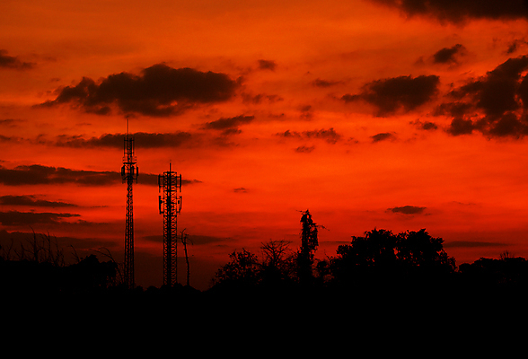 포토 JPG 해외이미지 나무 구름 실루엣 오렌지 자연 하늘 아침 손바닥 풍경 사람없음 빨간색 여름 빛 컬러풀 태양 노란색 일출 황혼 일몰 새벽 저녁 공상 스카이라인 수평선 해외202004 해외포토 주간 자연요소 식물 손 계절 컬러 과일 촬영기법 노을 야간 생태계 파일형식 이미지허브