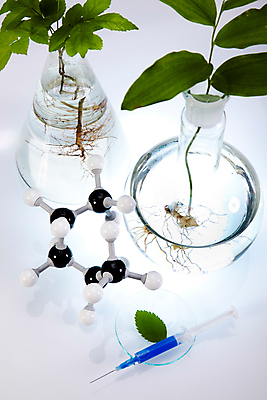 포토 JPG 해외이미지 식물 잎 실내 실험 주사기 사람없음 액체 화학 실험실 플라스크 흰배경 비커 화학실험 분자구조모형 샬레 해외202004 해외포토 과학 백그라운드 의료기기 실험기구 내부 모형 흰색 분자구조 파일형식 이미지허브