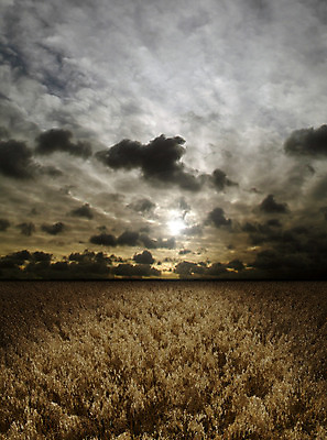 포토 JPG 해외이미지 식물 구름 계절 백그라운드 밭 농업 자연 하늘 날씨 씨앗 풍경 사람없음 야외 빨간색 여름 파란색 빛 태양 농장 노란색 우주 환경 어둠 황혼 일몰 성장 가을 시골 황금 땅 시리얼 밀 장면 넘어짐 수평선 해외202004 해외포토 자연요소 산업 음식 컬러 모션 곡류 노을 생태계 파일형식 이미지허브