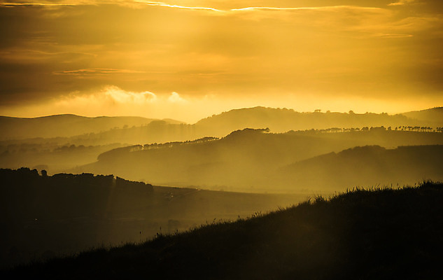 포토 JPG 해외이미지 나무 유럽 여행 백그라운드 오렌지 자연 하늘 아침 풍경 사람없음 물 여름 빛 햇빛 태양 농경지 평화 우주 일출 고요 황혼 일몰 놀람 새벽 안개 시골 시간 황금 저녁 언덕 복고 아일랜드 마법 천국 밭일 파라다이스 수평선 스코틀랜드 해외202004 해외포토 주간 자연요소 식물 계절 감정 나라 컨셉 과일 날씨 영국 표정 농장 노을 야간 생태계 파일형식 이미지허브