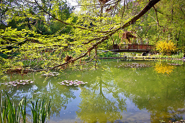 포토 JPG 해외이미지 식물 공원 길 호수 건축양식 자연 휴식 풍경 사람없음 목재 초록색 물 빛 컬러풀 반사 환경 정원 봄 산책 저수지 도시 센터 도심 허브 대학교 장면 타운 크로아티아 예약 내추럴 자그레브 해외202004 해외포토 자연요소 나무 계절 공공시설 건축 유럽 컬러 컨셉 재료 학교 생태계 파일형식 이미지허브
