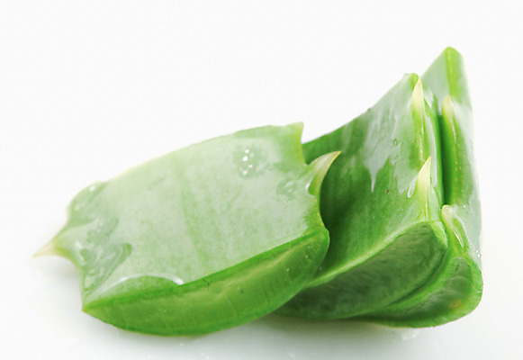 포토 JPG 해외이미지 식물 꽃 줄기 백그라운드 잎 자연 선인장 건강 사람없음 초록색 물 빛 약 우주 주스 화장품 활발 젖음 사막 성장 흰색 신선 가시 닫기 떨어짐 허브 피부 순수 묘사 피부관리 스파이크 고립 넘어짐 돌봄 알로에 억울 해외202004 해외포토 자연요소 감정 음료 컬러 컨셉 의학 모션 신체부위 뷰티 생태계 파일형식 이미지허브