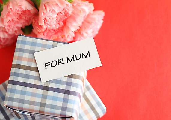 포토 JPG 해외이미지 꽃 사람없음 선물상자 카네이션 해외202004 해외포토 식물 선물 상자 파일형식 이미지허브