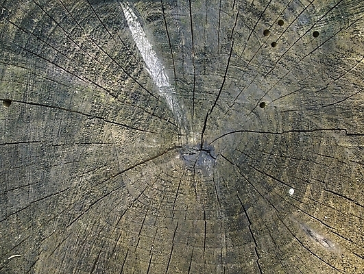 포토 JPG 해외이미지 백그라운드 자연 벽지 사람없음 목재 가로 균열 다리찢기 해외202004 해외포토 나무 재료 모션 생태계 파일형식 이미지허브