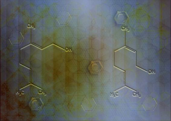 포토 JPG 해외이미지 디자인 과학 백그라운드 패턴 일러스트 추상 세포 기술 사람없음 그래픽 블록 거품 머리빗 원형 구멍 그룹 계획 플라스틱 생물학 정사각형 육각형 망사 벌집 방법 해외202004 해외포토 도형 교육 컨셉 무늬 재질 직물 미용용품 파일형식 이미지허브