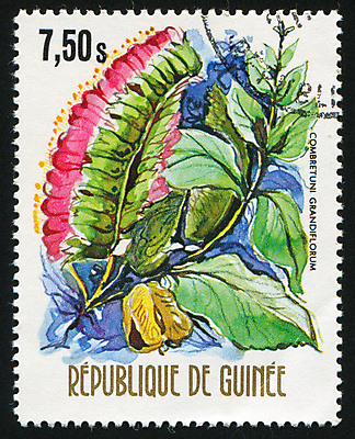 포토 JPG 해외이미지 식물 꽃잎 꽃 줄기 꽃무늬 자연 봉투 사람없음 수확 골동품 벚꽃 메시지 역사 물개 편지 꽃집 복고 엽서 우표 내추럴 옛날 해외202004 해외포토 무늬 농업 포유류 상점 바다동물 생태계 파일형식 이미지허브