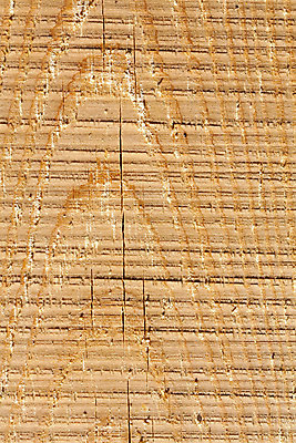 포토 JPG 해외이미지 나무 디자인 산업 선 벽 백그라운드 패턴 건축양식 자연 벽지 표면 추상 바닥 주택 사람없음 내부 목재 그래픽 장식 빛 갈색 줄무늬 수확 소나무 판넬 거친 널 매끈함 묘사 질감 잡동사니 내추럴 수목 옛날 파케트 해외202004 해외포토 식물 건축 컬러 무늬 농업 재료 건물 감각 생태계 파일형식 이미지허브