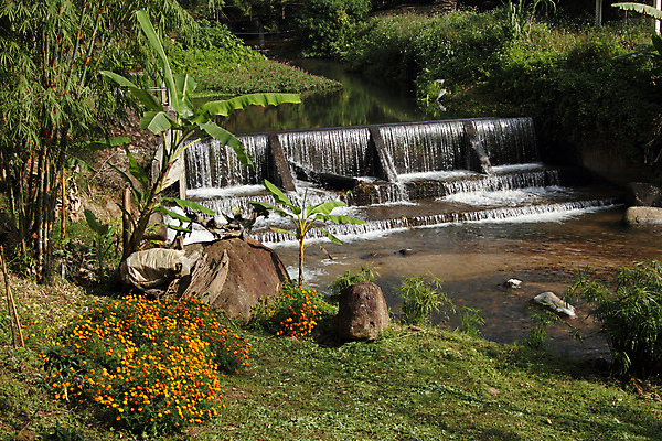 포토 JPG 해외이미지 공원 자연 풍경 사람없음 초록색 물 강 계곡 힘 폭포 흐름 시골 작음 지역 해외202004 해외포토 자연요소 공공시설 컬러 컨셉 크기 생태계 파일형식 이미지허브