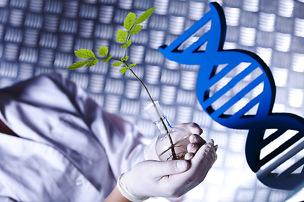 포토 JPG 해외이미지 식물 여자 실내 실험 한명 들기 상반신 성인 앞모습 액체 화학 실험실 DNA 과학자 플라스크 화학실험 분자구조모형 염색체구조 성인여자한명만 해외202004 해외포토 직업 1 뷰포인트 과학 모션 실험기구 사람 내부 모형 생명공학 분자구조 학자 여자한명만 성인여자만 파일형식 이미지허브