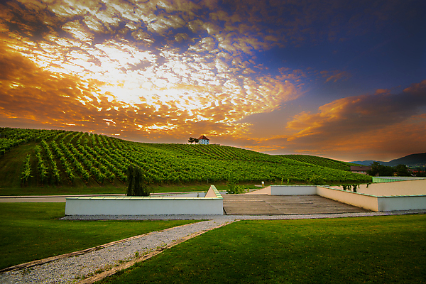 포토 JPG 해외이미지 유럽 백그라운드 농업 자연 하늘 포도 파노라마 풍경 사람없음 초록색 여름 태양 일출 와인 계곡 맑음 일몰 봄 이탈리아 수확 가을 시골 지중해 언덕 포도밭 포도나무 산기슭 밭일 양조장 옛날 토스카나 해외202004 해외포토 자연요소 계절 나라 산업 바다 컬러 밭 과일 날씨 산 주류 촬영기법 노을 과일나무 생태계 파일형식 이미지허브