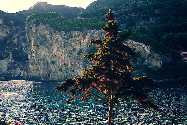 포토 JPG 해외이미지 나무 유럽 바다 섬 여행 자연 휴가 휴식 산 파노라마 풍경 사람없음 야외 초록색 물 여름 파란색 컬러풀 여행객 환경 소나무 만 황무지 숲 그리스 그리스인 옛날 코르푸 터키석 해외202004 해외포토 자연요소 서양인 식물 계절 나라 컬러 컨셉 촬영기법 사람 보석 생태계 파일형식 이미지허브