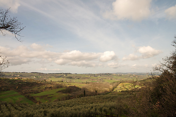 포토 JPG 해외이미지 나무 라이프스타일 문화 캠페인 밭 농업 자연 풍경 경사 사람없음 야외 초록색 환경 와인 봄 이탈리아 성장 나뭇가지 지중해 언덕 유기농 포도밭 포도나무 생태학 줄서기 그리너리 세련 해외202004 해외포토 식물 웰빙 계절 교육 유럽 산업 바다 컬러 모션 주류 생활 과일나무 생태계 파일형식 트랜드컬러 이미지허브