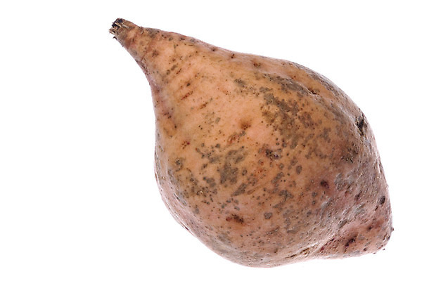 포토 JPG 해외이미지 식물 잡화 음식 농업 다이어트 채소 재료 자연 감자 건강 사람없음 식사 수확 신선 시장 닫기 달콤 먹기 유기농 날것 내추럴 고립 식용 해외202004 해외포토 웰빙 산업 모션 맛 생태계 파일형식 이미지허브