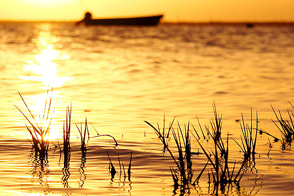 포토 JPG 해외이미지 라이프스타일 공원 실루엣 호수 야생동물 모래 바다 섬 여행 자연 하늘 휴식 풍경 사람없음 야외 물 여름 컬러풀 반사 일출 새벽 보트 포르투갈 생태계 지역 석호 내추럴 생태학 해외202004 해외포토 자연요소 동물 계절 공공시설 교육 유럽 컬러 컨셉 배_교통 촬영기법 생활 노을 파일형식 이미지허브