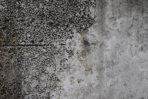 포토 JPG 해외이미지 디자인 벽 백그라운드 패턴 건축양식 표면 날씨 추상 프레임 사람없음 건물 우주 어둠 페인트 공백 손상 회색 골동품 흰색 도시 얼룩 거친 고민 부식 질감 복고 시멘트 스크래치 시들음 구식 그런지 옛날 콘크리트 회복 해외202004 해외포토 건축물 건축 감정 컬러 컨셉 무늬 파일형식 이미지허브