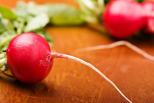 포토 JPG 해외이미지 음식 백그라운드 잎 채소 사람없음 목재 초록색 신선 그룹 다발 피부 유기농 날것 뿌리 숙성 총각무 해외202004 해외포토 나무 식물 웰빙 컬러 재료 신체부위 무 파일형식 이미지허브