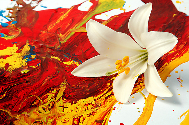 포토 JPG 해외이미지 모양 식물 디자인 교육 꽃잎 꽃 백그라운드 꽃무늬 패턴 추상 아이디어 창조 미술 사람없음 그래픽 장식 빨간색 머리 보라색 페인트 젖음 벚꽃 흰색 그리기 붓기 떨어짐 디자이너 순수 그림 심플 페인트붓 꽃가루 개성 꽃수술 해외202004 해외포토 직업 컬러 컨셉 무늬 모션 문화예술 신체부위 붓 가루 파일형식 이미지허브