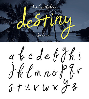 영어 일러스트 캘리그라피 타이포그라피 글자캘리그라피 사람없음 여름 야자수 소문자 필기체 조합형타이포 국내일러스트 AI파일 나무 문자 계절 파일형식 벡터