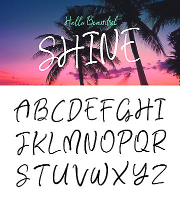 영어 일러스트 캘리그라피 대문자 타이포그라피 글자캘리그라피 사람없음 여름 야자수 샤인 필기체 조합형타이포 국내일러스트 AI파일 나무 문자 계절 파일형식 벡터