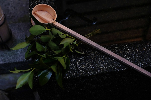 포토 JPG 주간 잎 일본문화 사람없음 야외 물 일본 사찰 바가지 국내포토 자연요소 식물 동양문화 아시아 외국문화 종교건축 파일형식