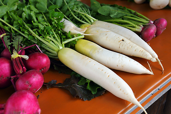 포토 JPG 음식 근접촬영 사람없음 무 적환무 국내포토 뷰포인트 뿌리채소 파일형식