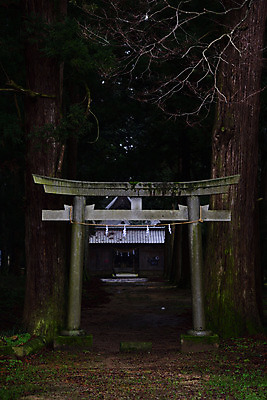 포토 JPG 나무 일본문화 사람없음 야외 일본 사찰 야간 숲 일본전통 일본건축 토리이 국내포토 자연요소 식물 동양문화 전통 아시아 외국문화 종교건축 동양건축 신사 파일형식