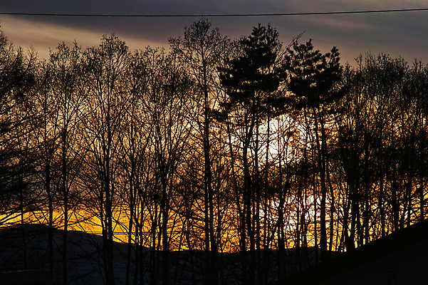 포토 JPG 주간 나무 실루엣 자연현상 풍경 사람없음 야외 일출 노을 일몰 숲 국내포토 자연요소 식물 자연 촬영기법 파일형식