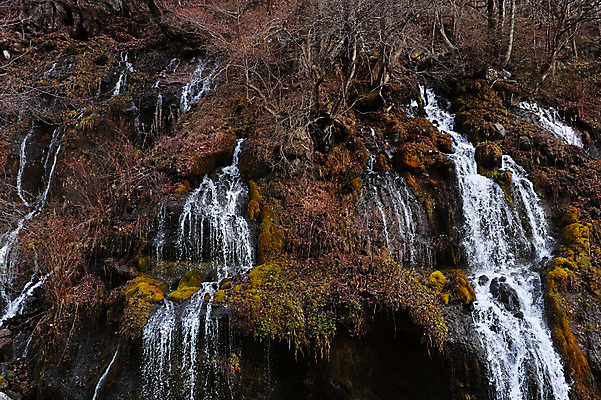 포토 JPG 주간 나무 자연 풍경 사람없음 야외 계곡 폭포 흐름 숲 국내포토 자연요소 식물 컨셉 생태계 파일형식