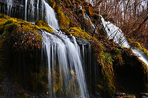 포토 JPG 주간 나무 자연 풍경 사람없음 야외 계곡 폭포 흐름 숲 국내포토 자연요소 식물 컨셉 생태계 파일형식