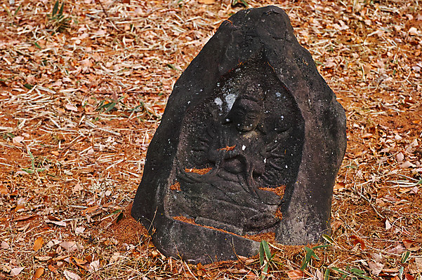 포토 JPG 주간 낙엽 불교 사람없음 야외 조각상 숲 불상 국내포토 자연요소 종교 잎 조형물 파일형식