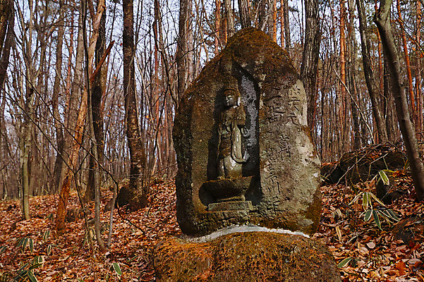 포토 JPG 주간 나무 불교 사람없음 야외 조각상 숲 불상 국내포토 자연요소 식물 종교 조형물 파일형식