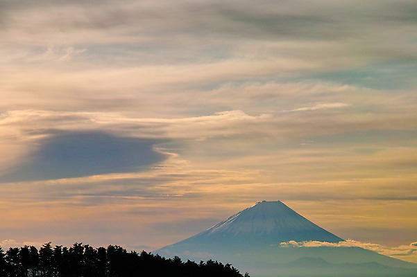 포토 JPG 주간 나무 구름 자연현상 자연 하늘 풍경 사람없음 야외 노을 만년설 국내포토 자연요소 식물 생태계 파일형식